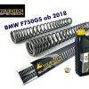 Progressive fork springs for BMW F750GS from 2018