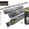 Progressive fork springs for Honda CRF1000L Africa Twin from 2018 +20mm / Offroad Travel